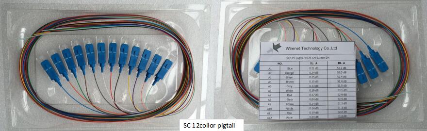 SC 12 color pigtail